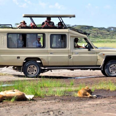 safari-land-cruiser