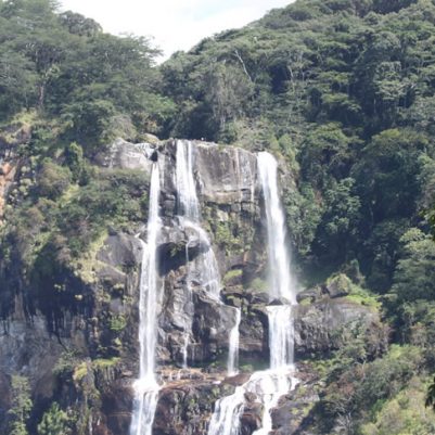 Udzungwa Mountains National Park
