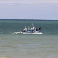 whale-watching-with-oltau-safaris